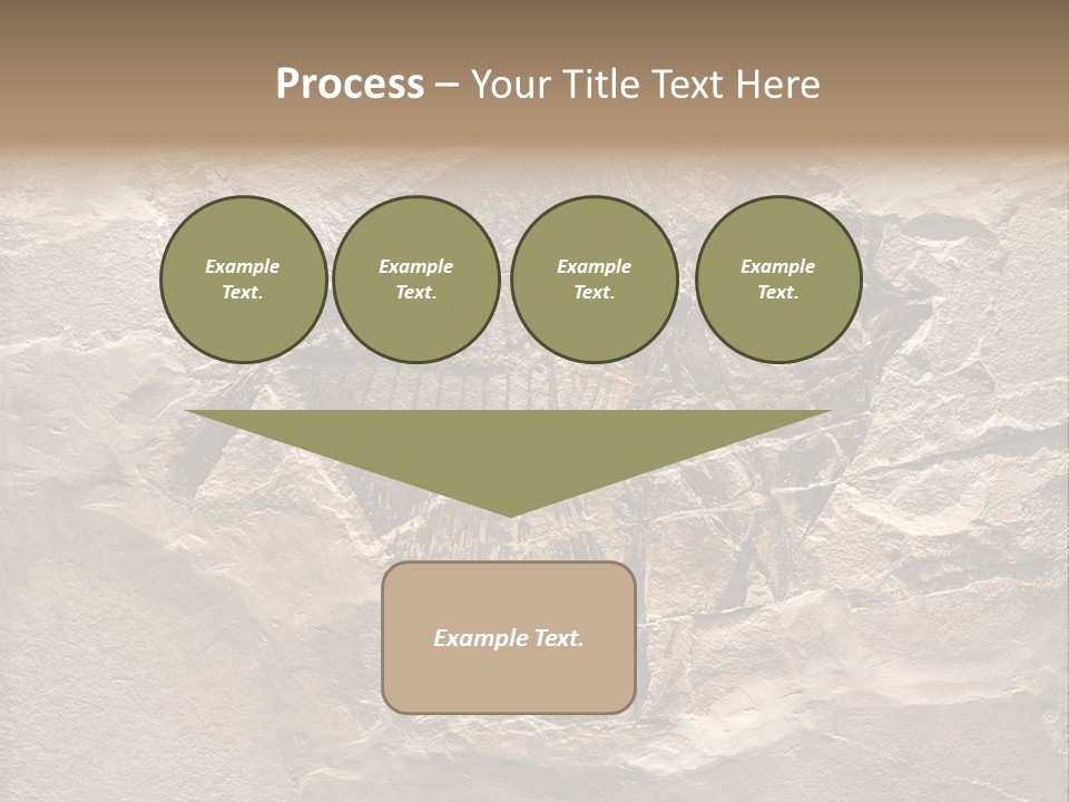 Remain Mineral Skeleton PowerPoint Template