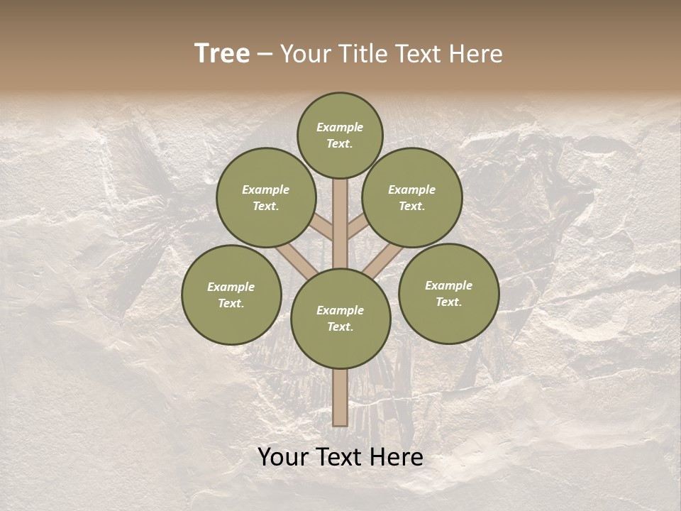 Remain Mineral Skeleton PowerPoint Template