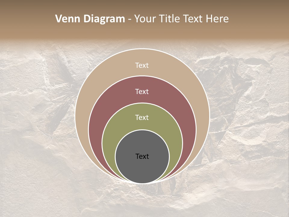 Remain Mineral Skeleton PowerPoint Template