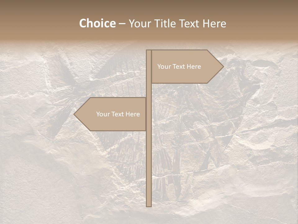 Remain Mineral Skeleton PowerPoint Template