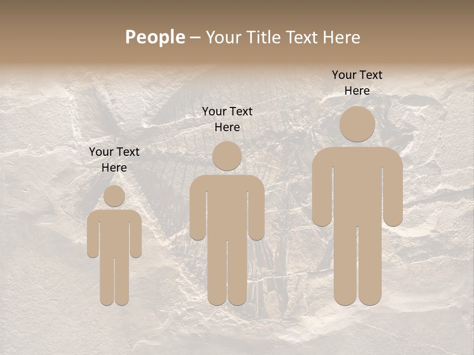 Remain Mineral Skeleton PowerPoint Template