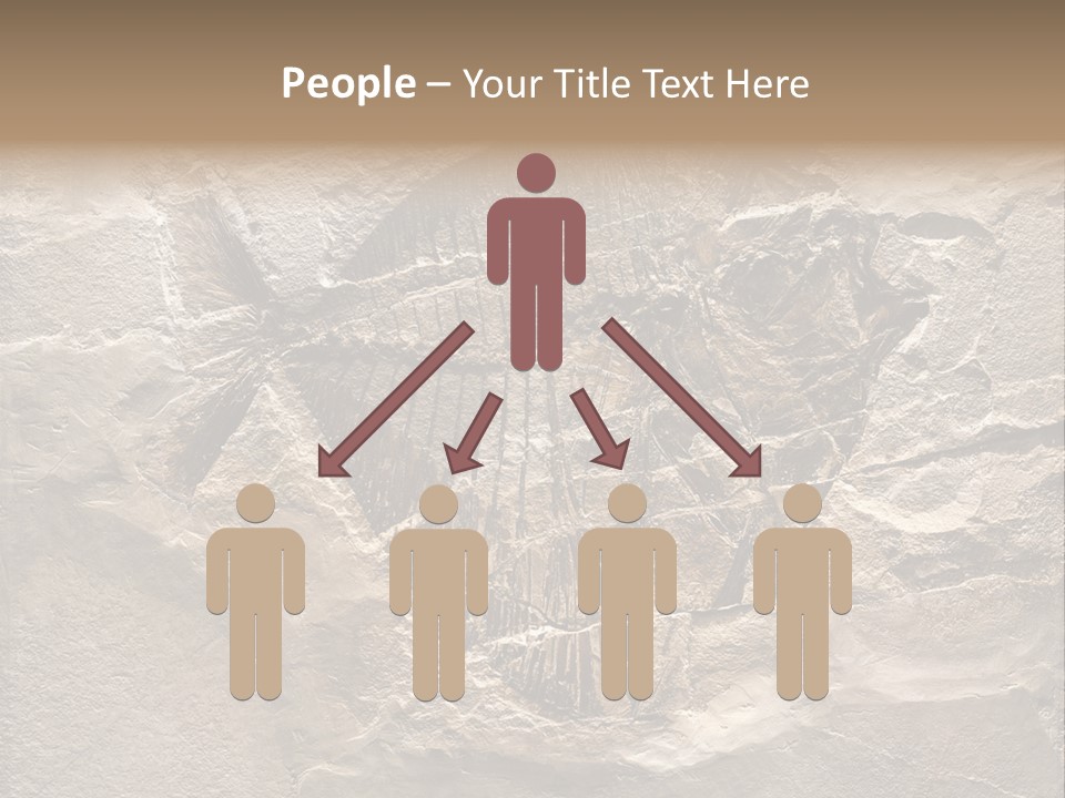 Remain Mineral Skeleton PowerPoint Template