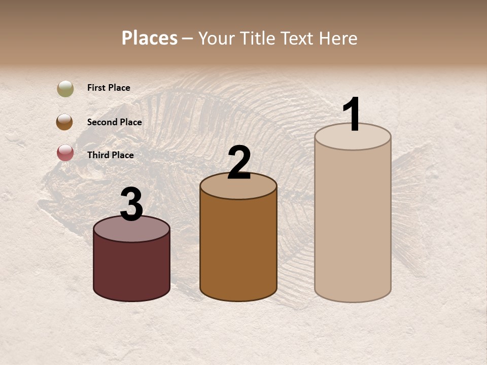 Evolve Ammonite Geology PowerPoint Template