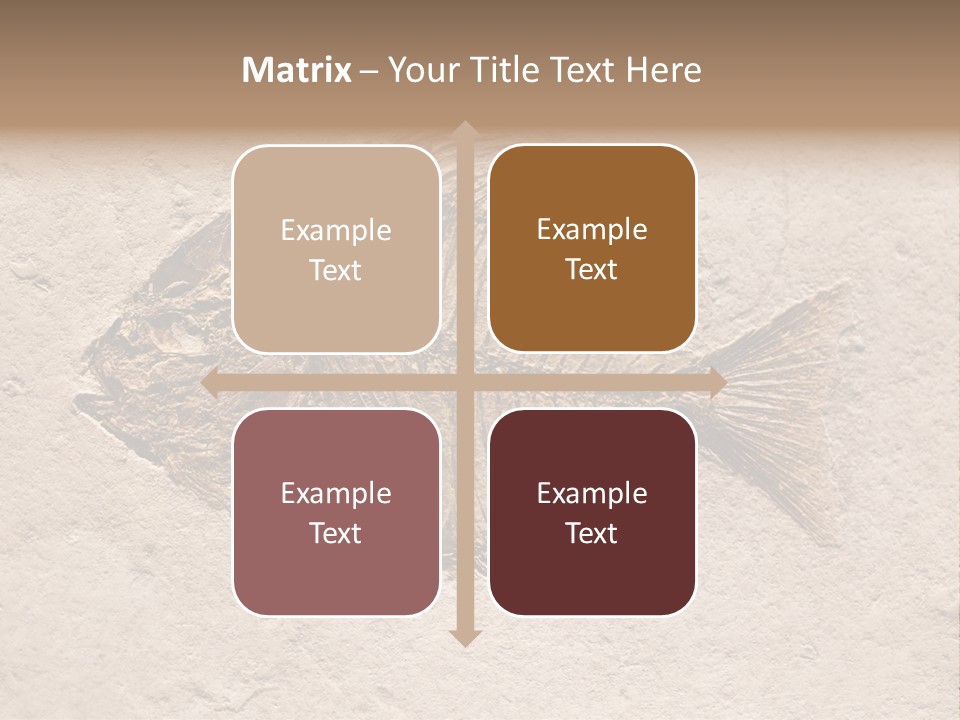 Evolve Ammonite Geology PowerPoint Template