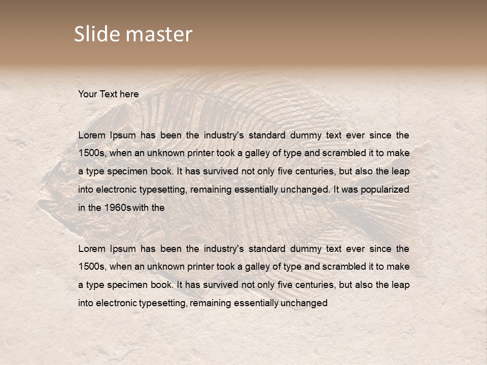 Evolve Ammonite Geology PowerPoint Template