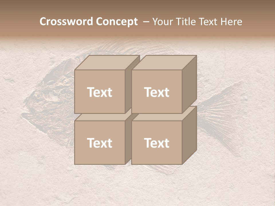 Evolve Ammonite Geology PowerPoint Template