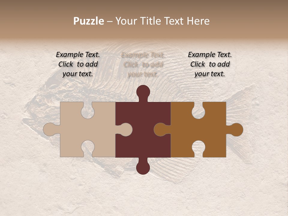 Evolve Ammonite Geology PowerPoint Template