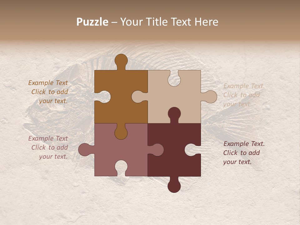 Evolve Ammonite Geology PowerPoint Template