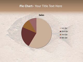 Evolve Ammonite Geology PowerPoint Template