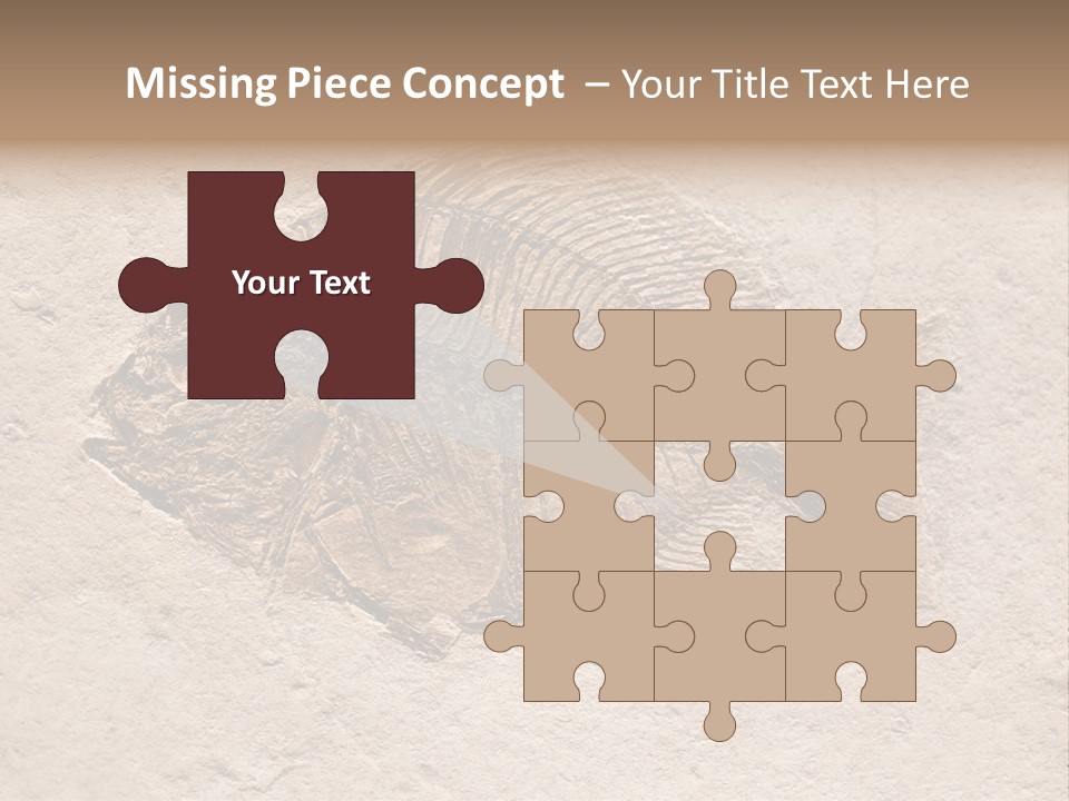 Evolve Ammonite Geology PowerPoint Template