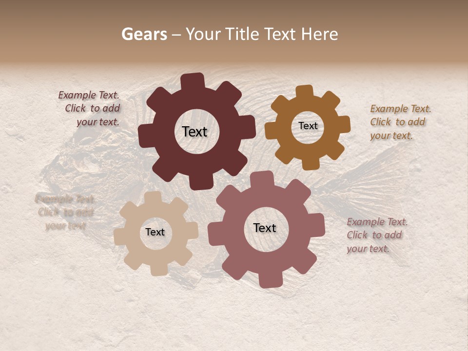 Evolve Ammonite Geology PowerPoint Template