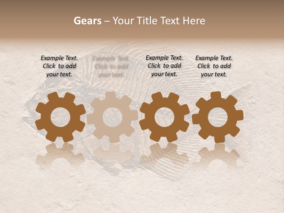 Evolve Ammonite Geology PowerPoint Template