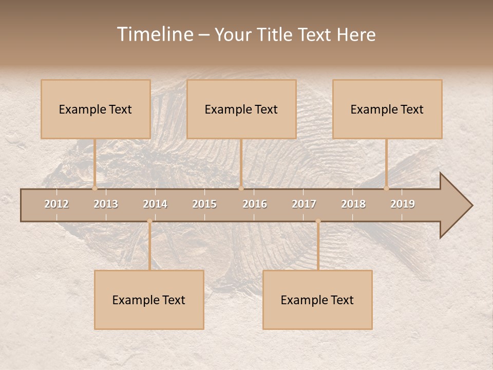 Evolve Ammonite Geology PowerPoint Template