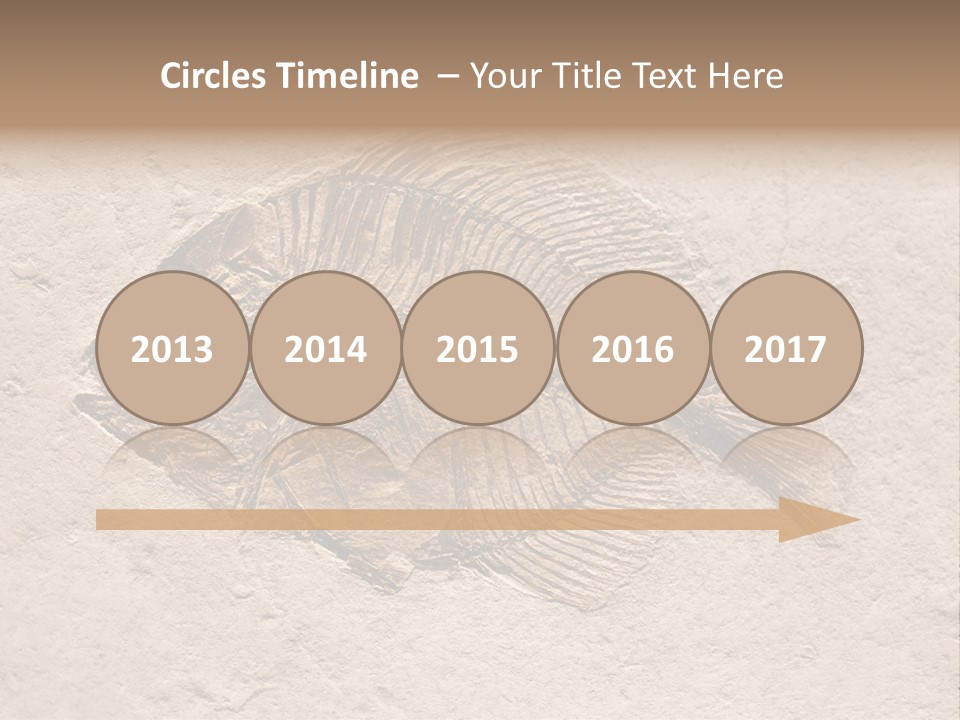 Evolve Ammonite Geology PowerPoint Template