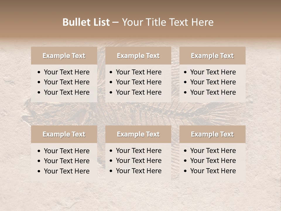 Evolve Ammonite Geology PowerPoint Template