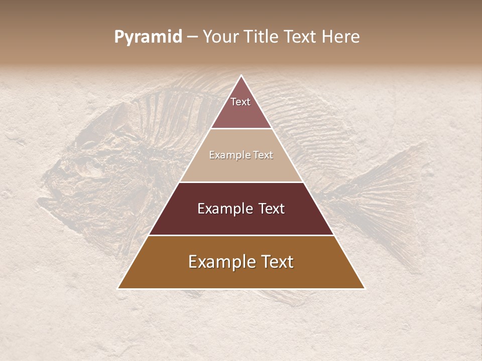 Evolve Ammonite Geology PowerPoint Template