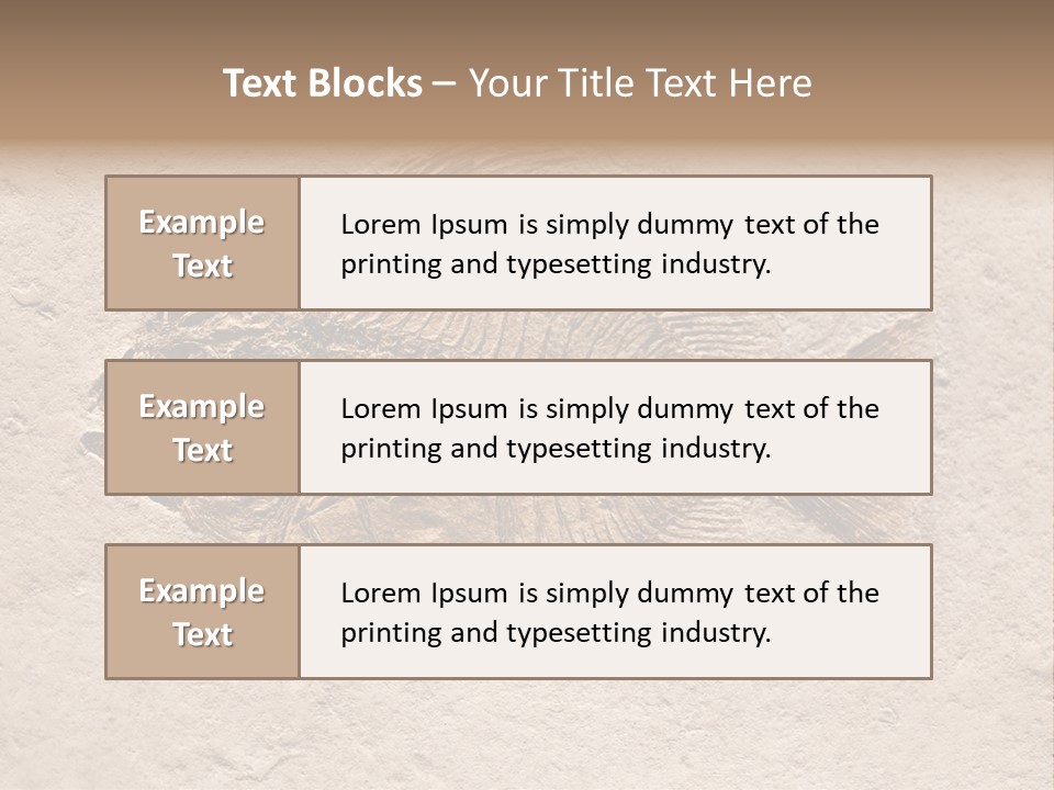 Evolve Ammonite Geology PowerPoint Template