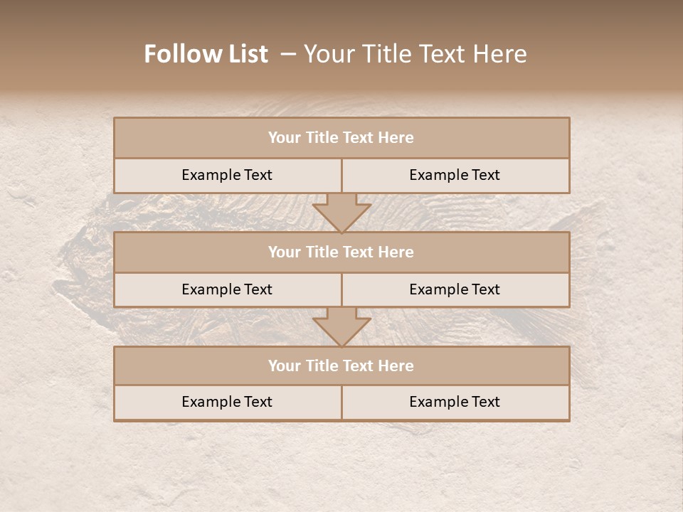 Evolve Ammonite Geology PowerPoint Template