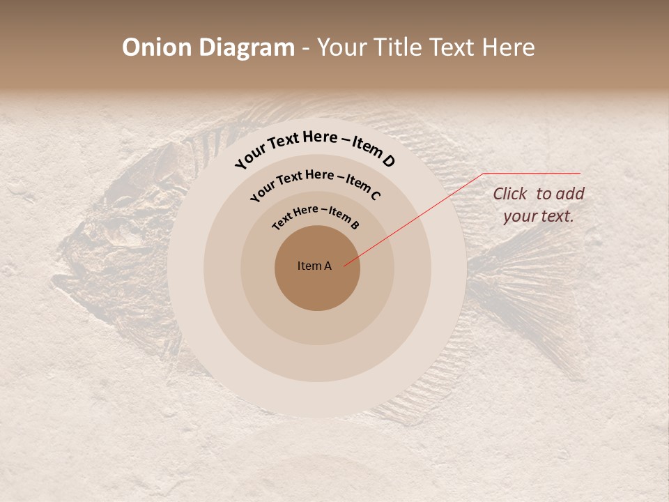 Evolve Ammonite Geology PowerPoint Template