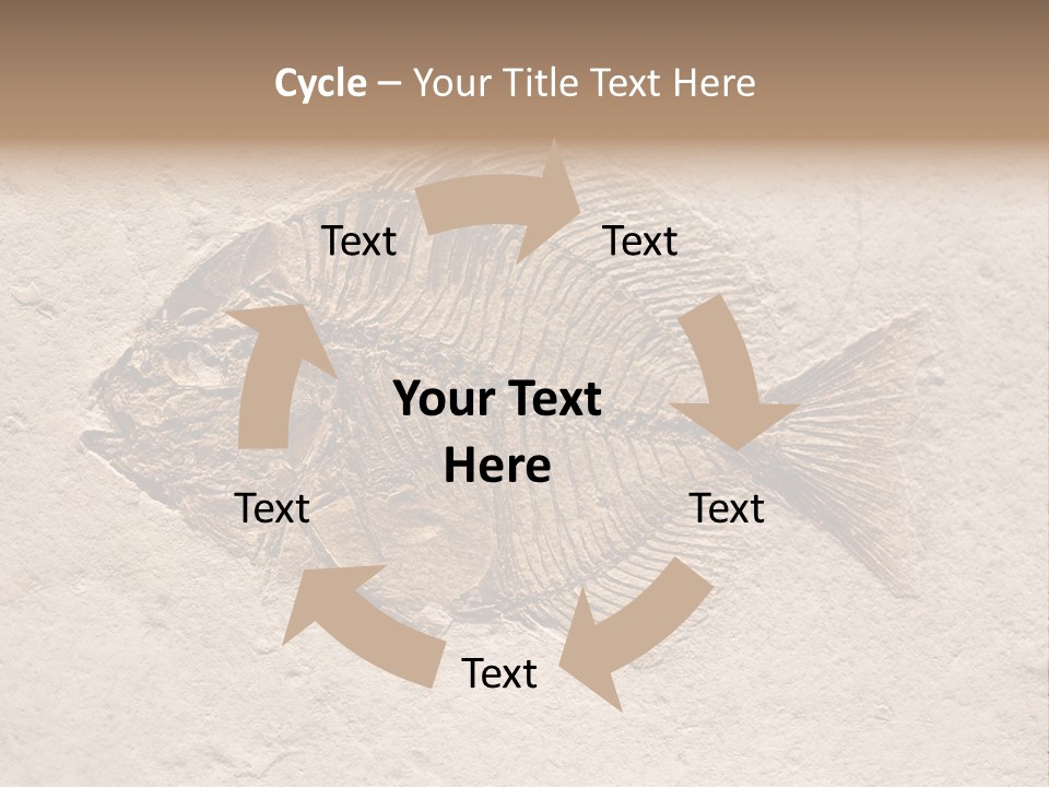 Evolve Ammonite Geology PowerPoint Template