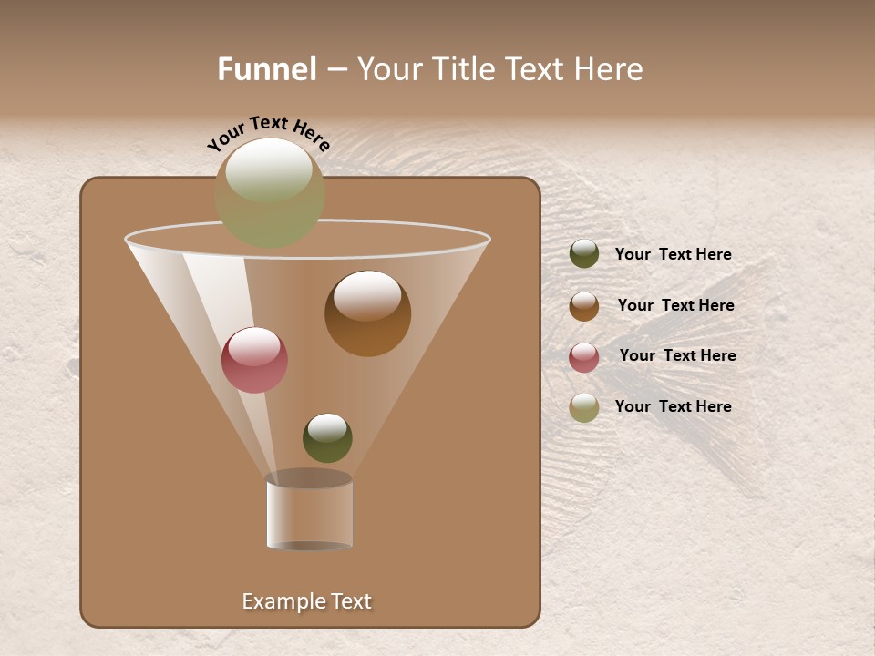 Evolve Ammonite Geology PowerPoint Template
