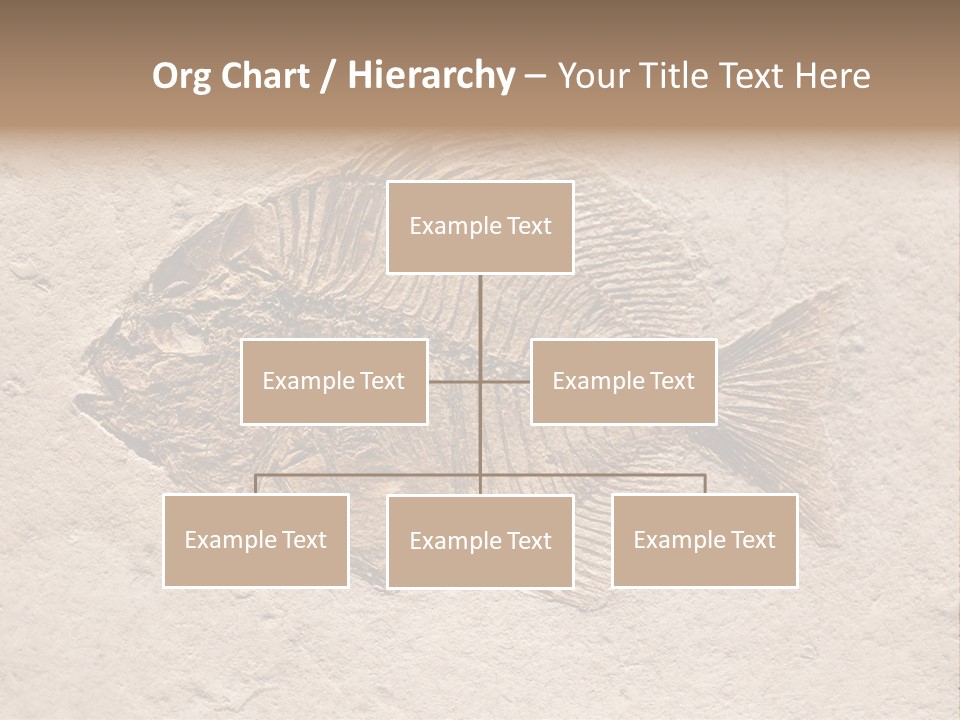 Evolve Ammonite Geology PowerPoint Template