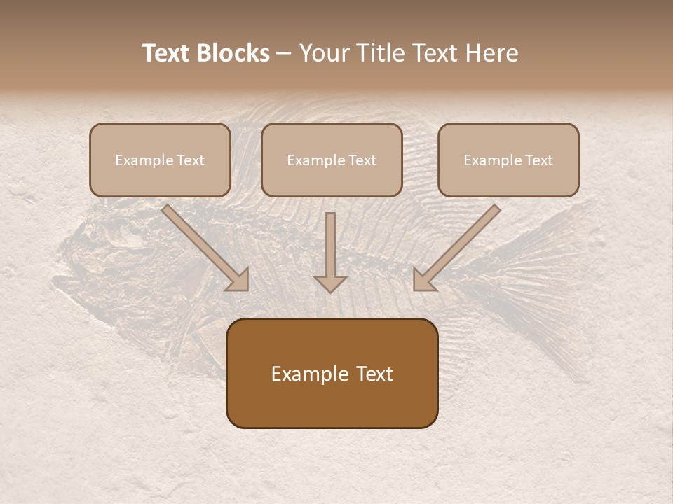 Evolve Ammonite Geology PowerPoint Template
