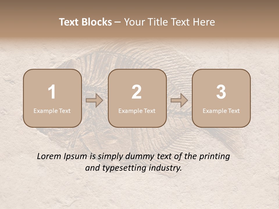 Evolve Ammonite Geology PowerPoint Template