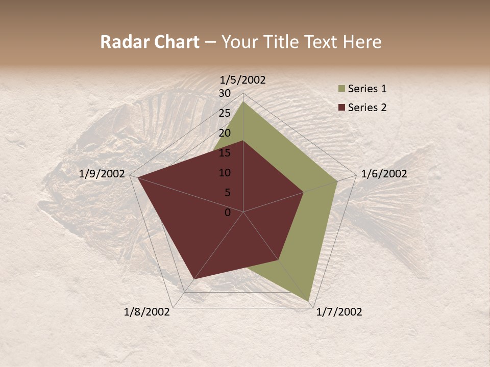 Evolve Ammonite Geology PowerPoint Template