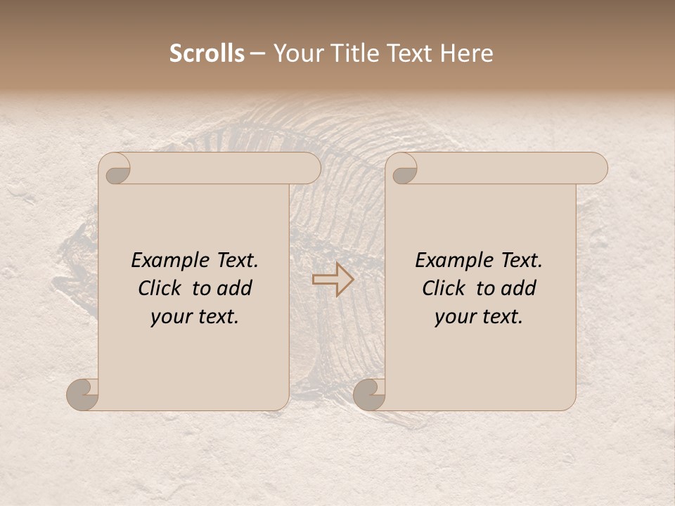 Evolve Ammonite Geology PowerPoint Template
