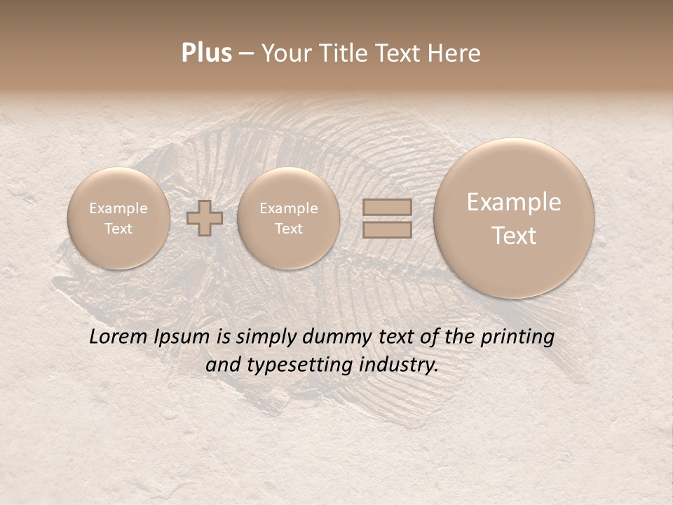 Evolve Ammonite Geology PowerPoint Template