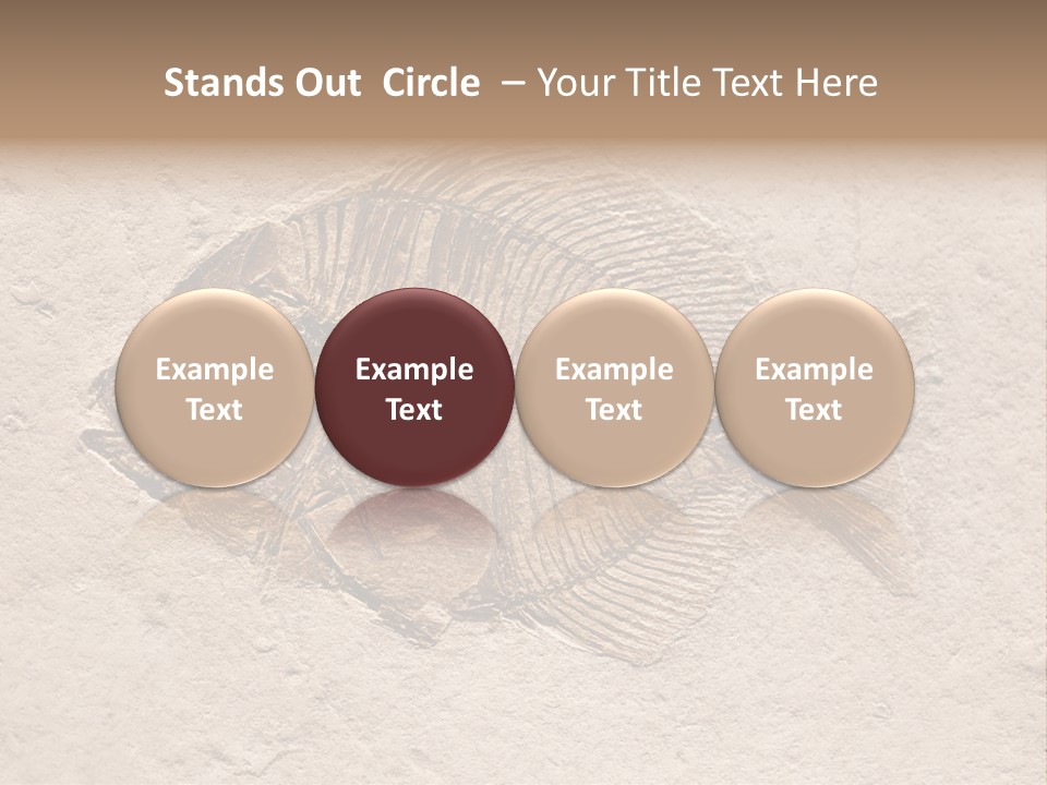 Evolve Ammonite Geology PowerPoint Template