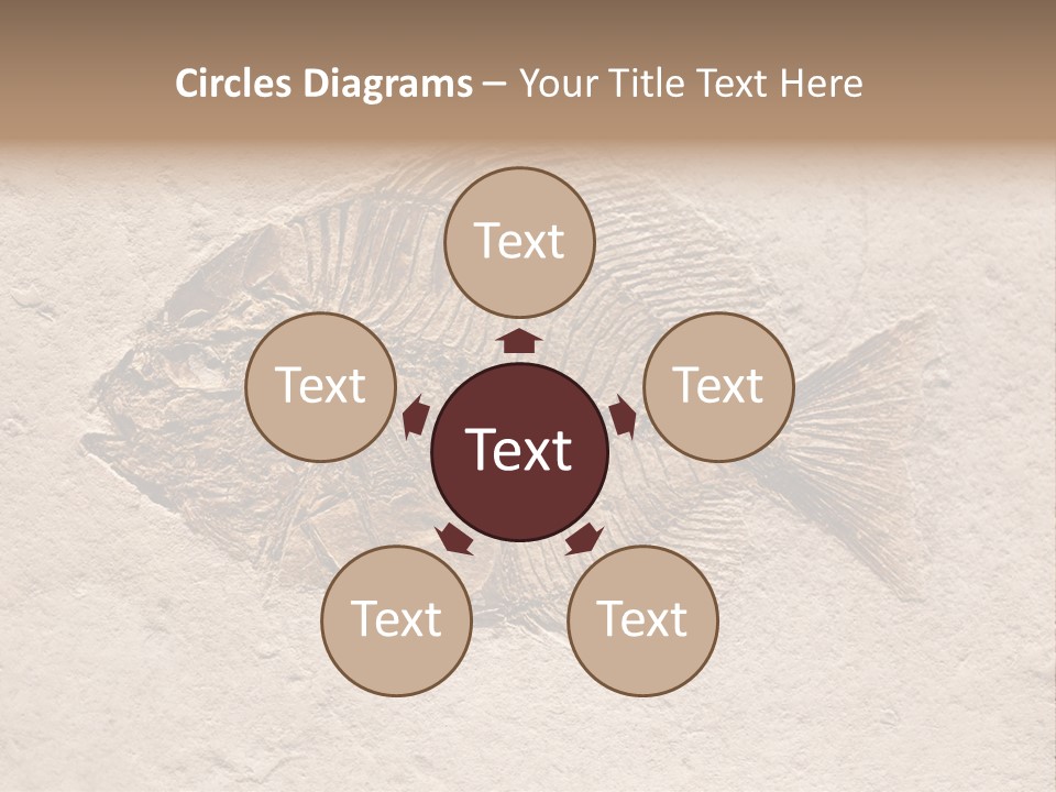 Evolve Ammonite Geology PowerPoint Template