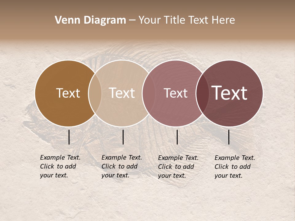 Evolve Ammonite Geology PowerPoint Template