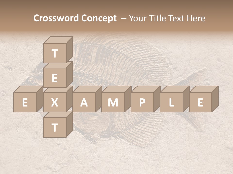 Evolve Ammonite Geology PowerPoint Template