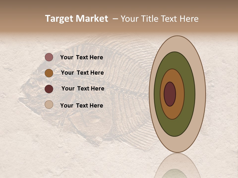 Evolve Ammonite Geology PowerPoint Template