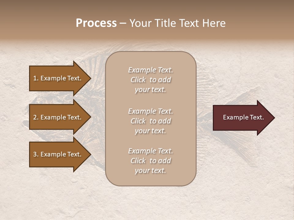 Evolve Ammonite Geology PowerPoint Template