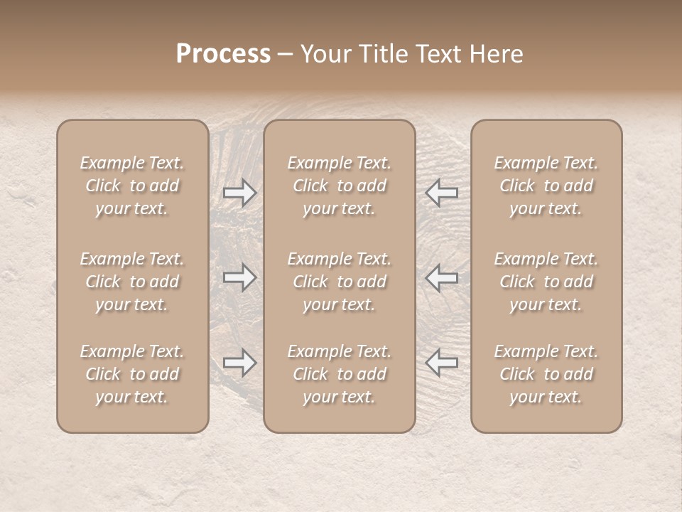Evolve Ammonite Geology PowerPoint Template