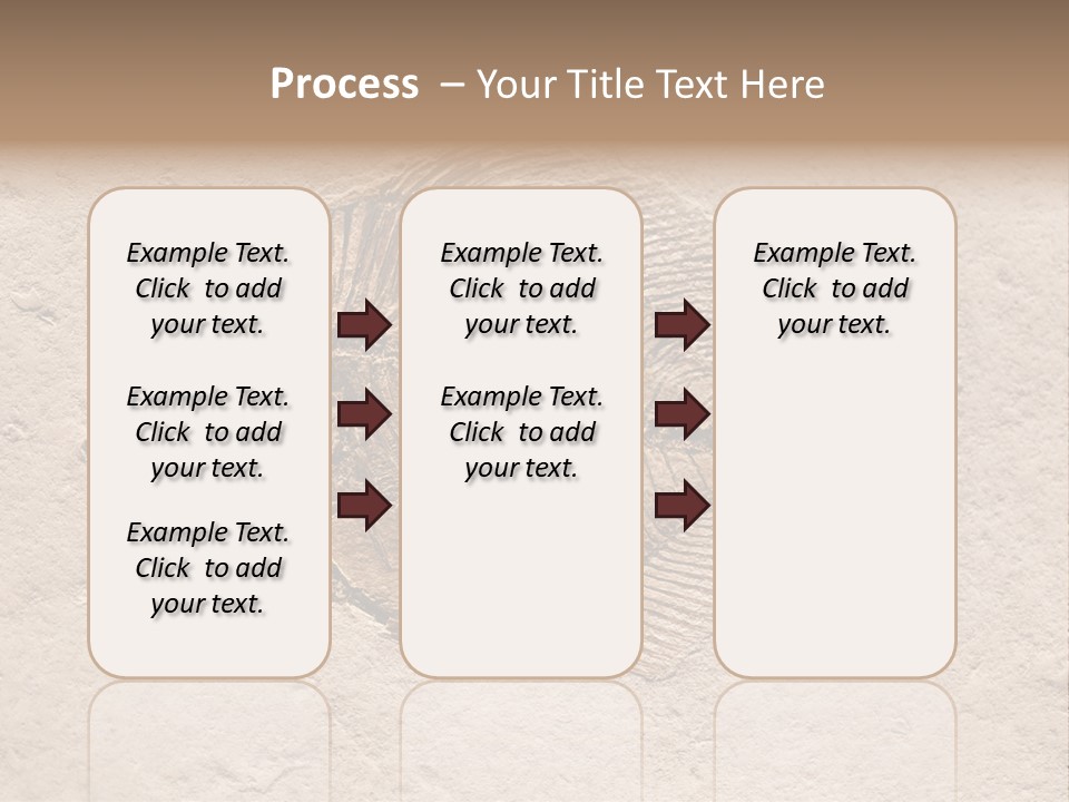 Evolve Ammonite Geology PowerPoint Template