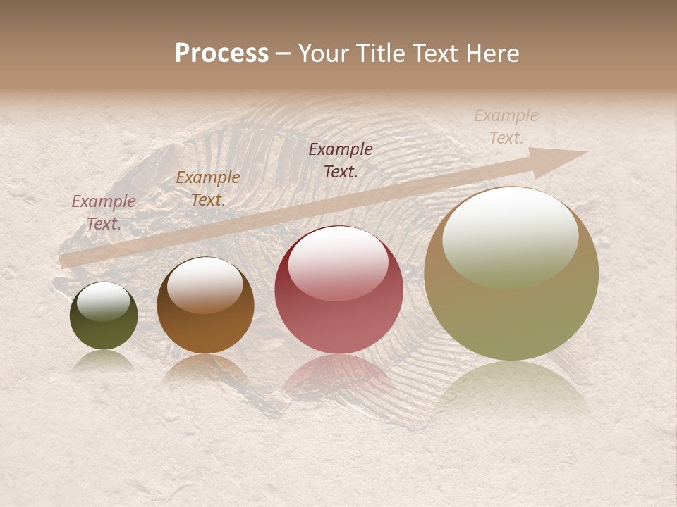 Evolve Ammonite Geology PowerPoint Template