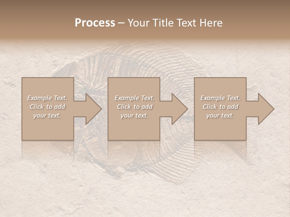 Evolve Ammonite Geology PowerPoint Template
