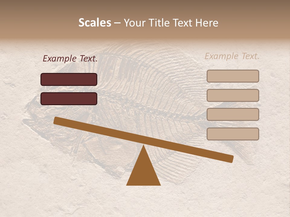 Evolve Ammonite Geology PowerPoint Template