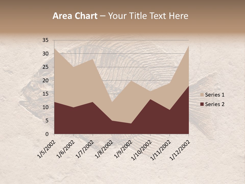 Evolve Ammonite Geology PowerPoint Template