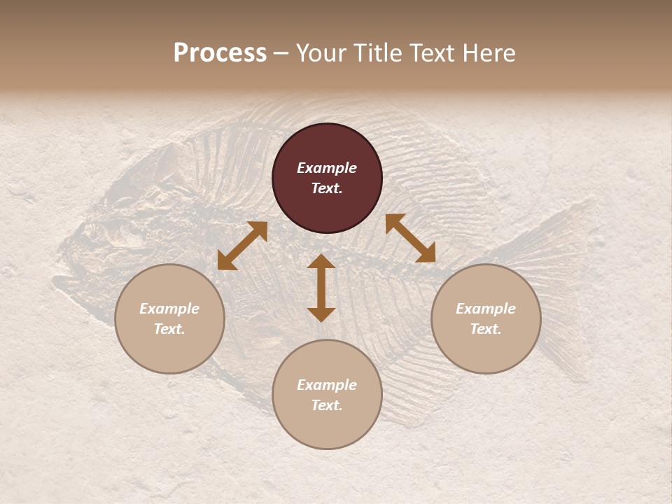 Evolve Ammonite Geology PowerPoint Template