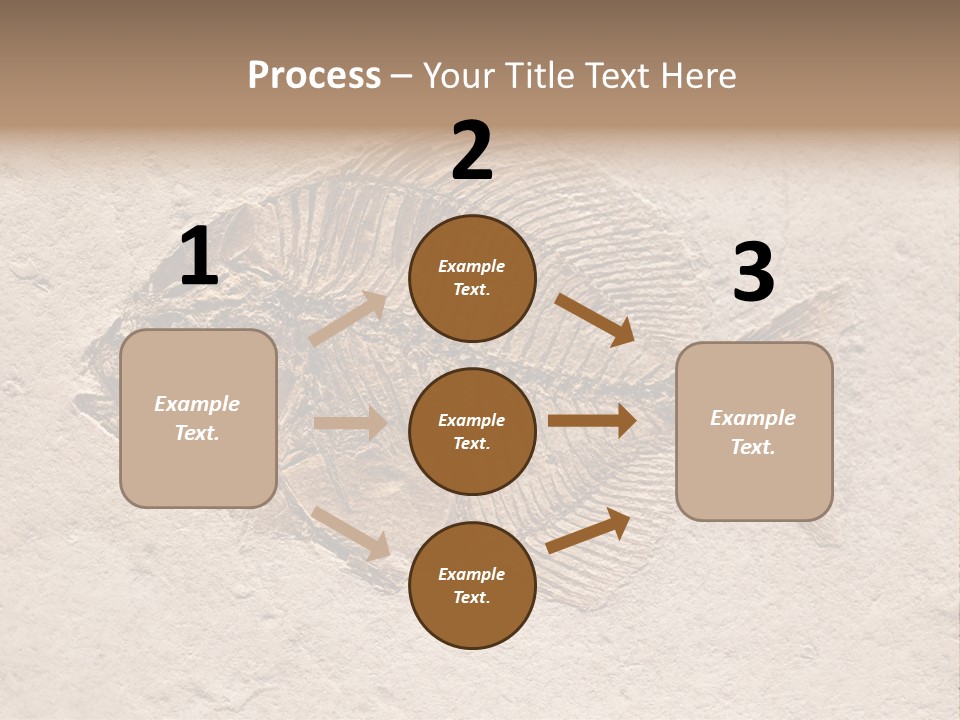 Evolve Ammonite Geology PowerPoint Template