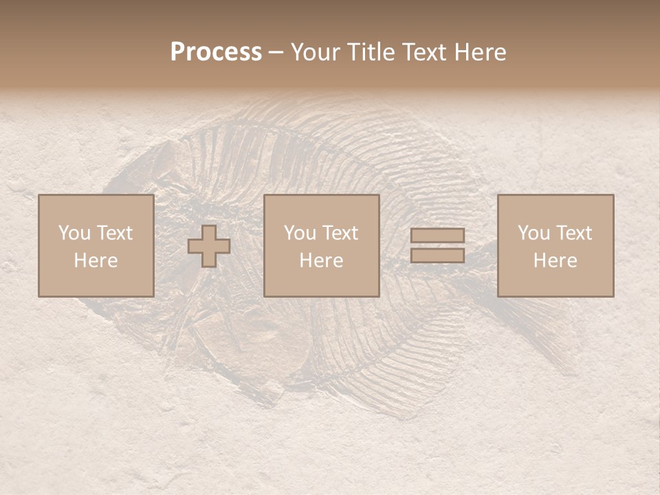Evolve Ammonite Geology PowerPoint Template