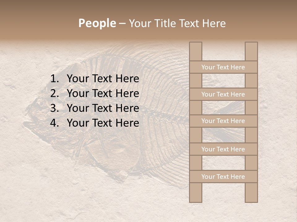 Evolve Ammonite Geology PowerPoint Template