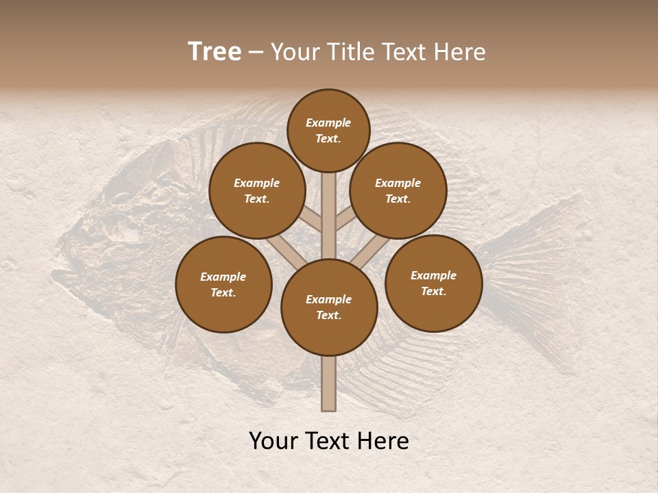 Evolve Ammonite Geology PowerPoint Template
