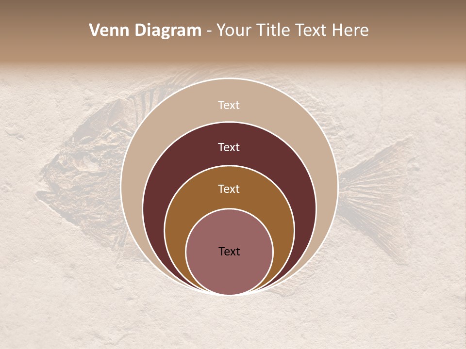 Evolve Ammonite Geology PowerPoint Template