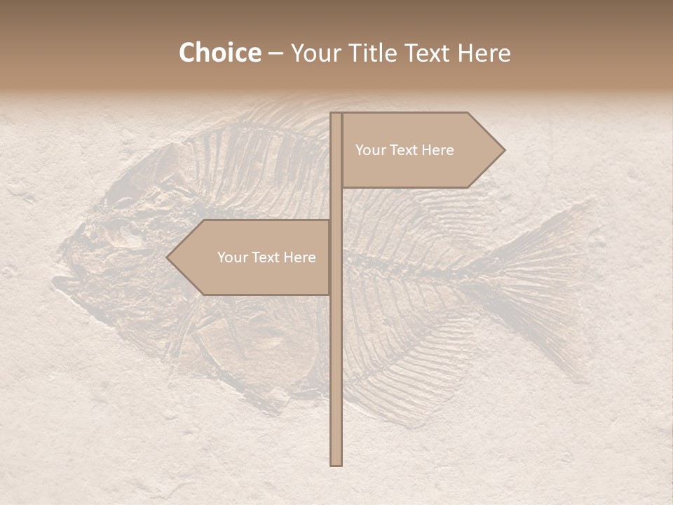 Evolve Ammonite Geology PowerPoint Template